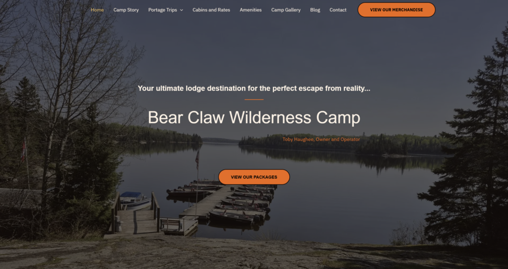 screenshot 2026 02 12 121340